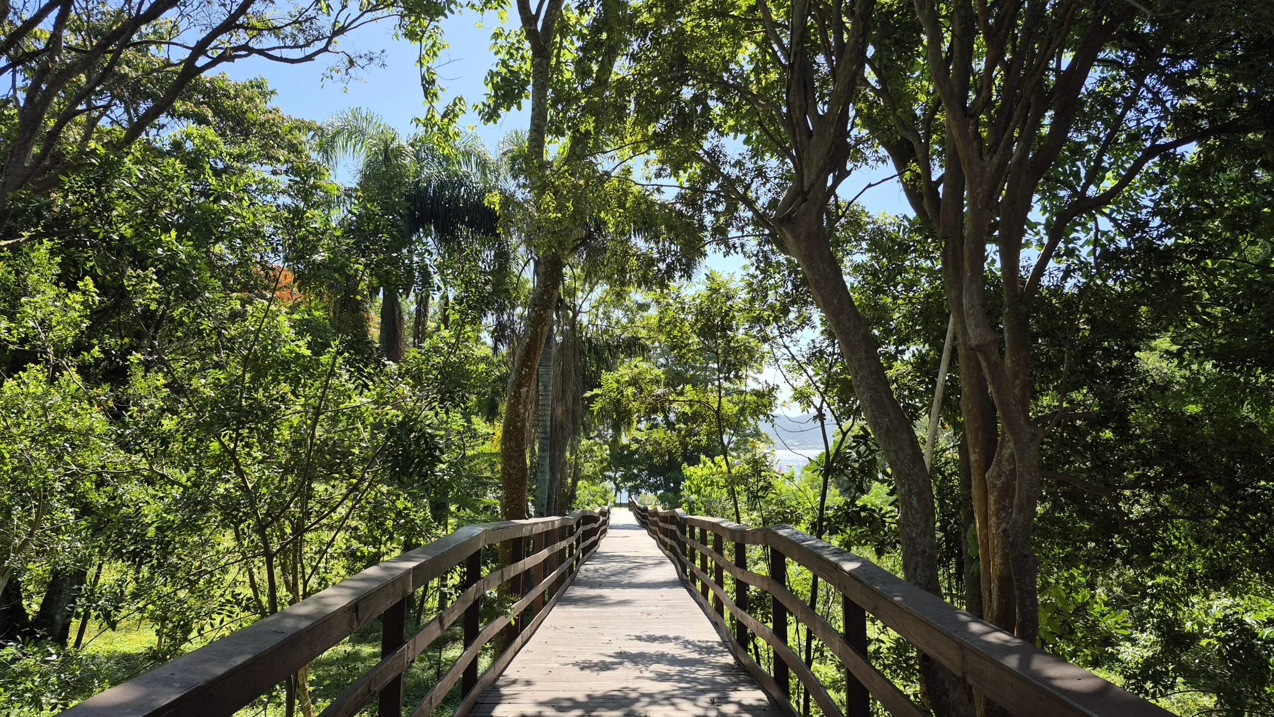 Projeto de Recuperação de Áreas Preservadas (PRAD)